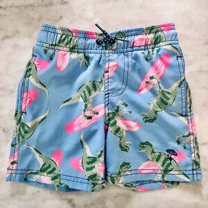 Shade Critters ‘Surfin Dino’ Boys  Swim Trunk 2T